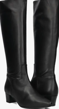 DAMES STEFANO LAURAN e hoge laarzen 010-290