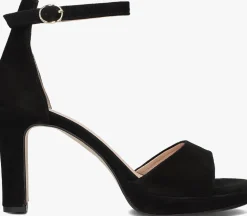 DAMES STEFANO LAURAN e pumps s3126