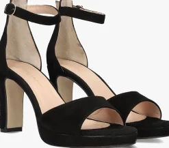 DAMES STEFANO LAURAN e pumps s3126