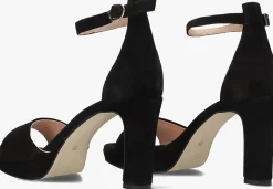 DAMES STEFANO LAURAN e pumps s3126