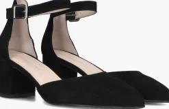 DAMES STEFANO LAURAN e sandalen s3257