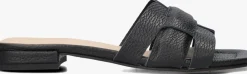 DAMES STEFANO LAURAN e slippers 24050
