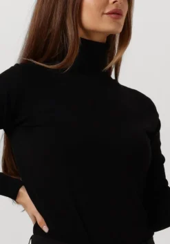 DAMES SUMMUM e coltrui sweater turtle neck basic knit (7s5529)