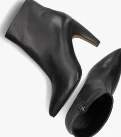 DAMES TORAL e enkellaarsjes piton