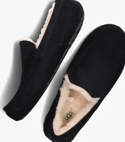 Heren UGG e pantoffels ascot