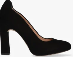 DAMES UNISA e pumps pascual sue